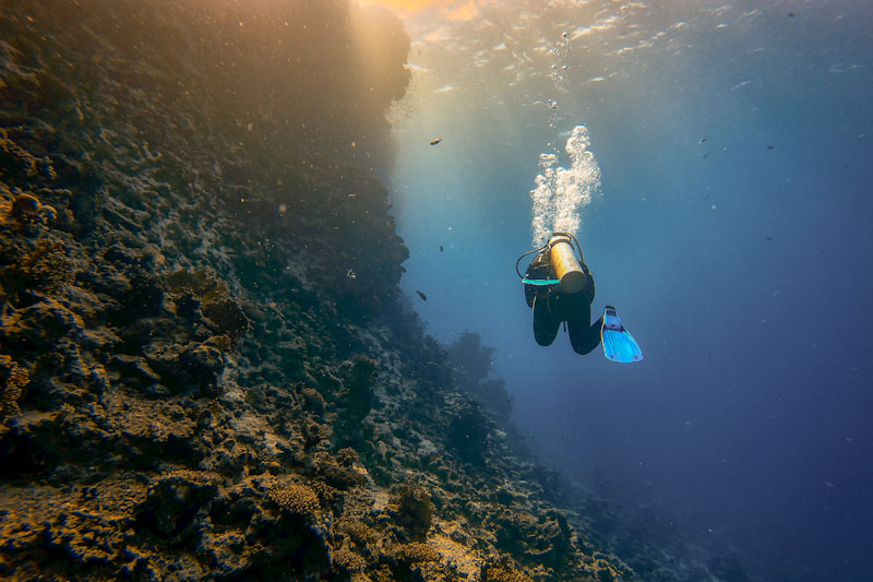 Diver exploring a reef under the ocean surface